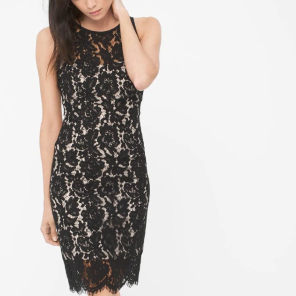 ⭐️ FINAL SALE!!⚡️NWOT WHMB Lace Sheath Dress